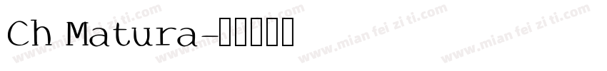 Ch Matura字体转换